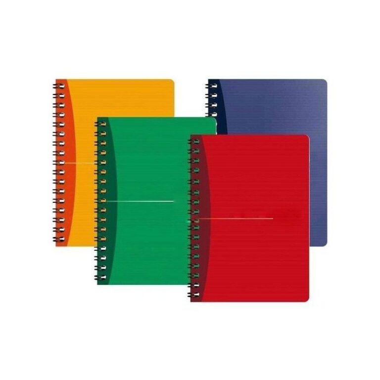Cahier MINTRA spirales petits carreaux 100p 21x29,7 cm