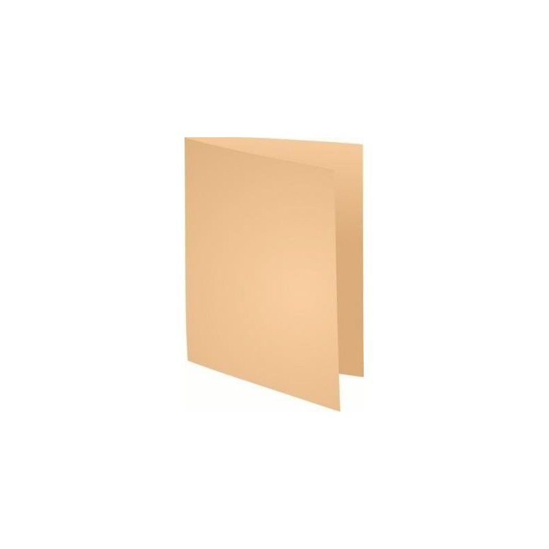 CHEMISES BULLES - 60G - PAQUET DE 250